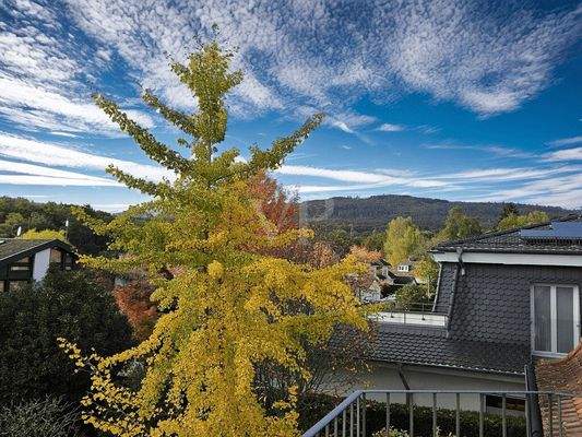 Ausblick Arbeitszimmer