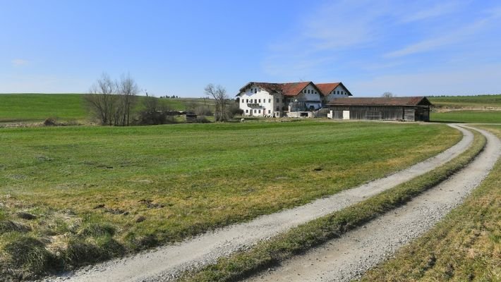 Blick zur Hofstelle