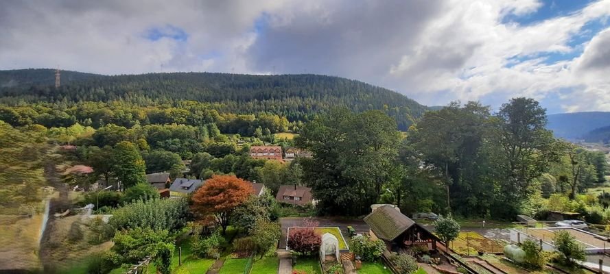 Ausblick vom Dachfenster.jpeg