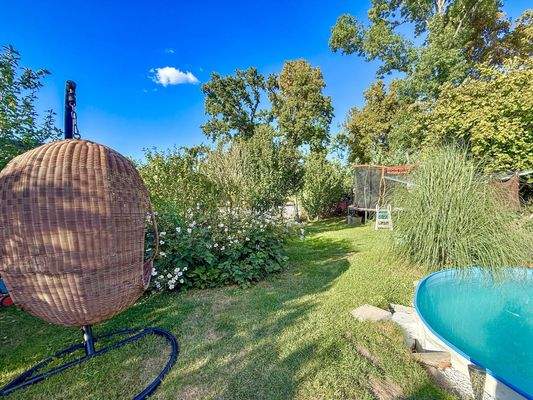 Garten - Sommer | August 2025