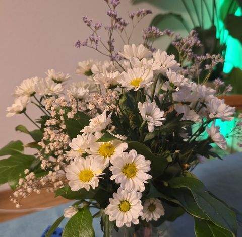 Velbert Wohnen auf Zeit, möbliertes Wohnen