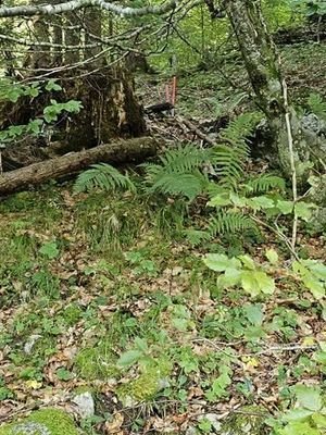 20230912_102812 (Copy)