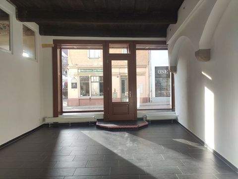 Meißen Büros, Büroräume, Büroflächen 