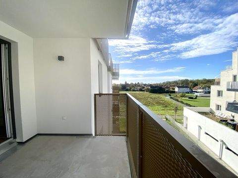 Wien Wohnungen, Wien Wohnung mieten