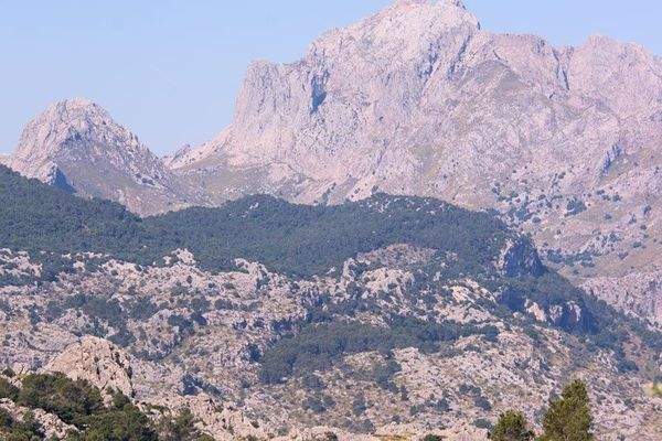 Kensington Mallorca North