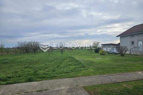 Petlovac Bauernhöfe, Landwirtschaft, Petlovac Forstwirtschaft