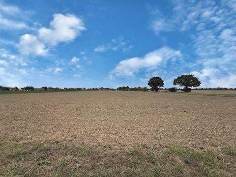 Neustadt Bauernhöfe, Landwirtschaft, Neustadt Forstwirtschaft