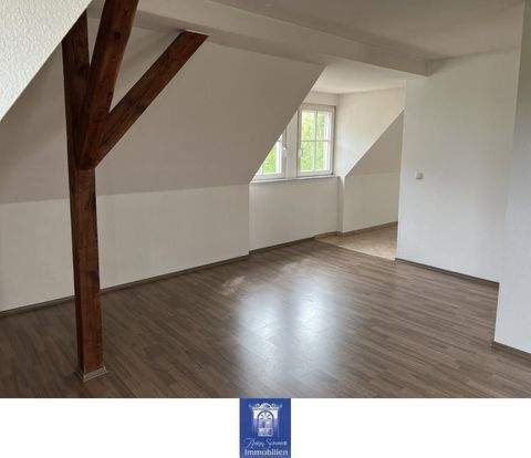 Riesa Wohnungen, Riesa Wohnung mieten