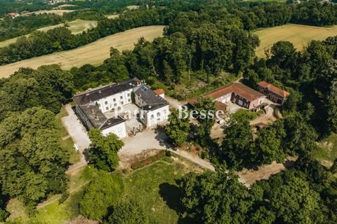 Laveyron Bauernhöfe, Landwirtschaft, Laveyron Forstwirtschaft