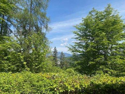 Ausblick vom Wohnzimmer