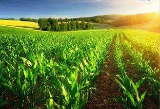 gewerbliches landwirtschaftliches Anwesen