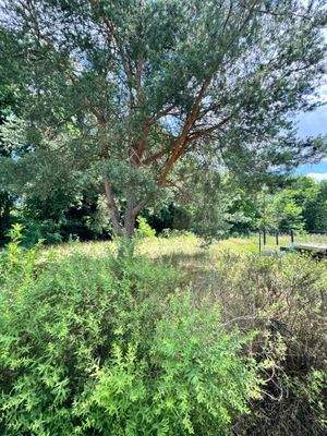 2024-06-23 12.30.25.jpg