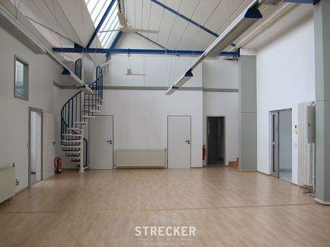 Karlsruhe Halle, Karlsruhe Hallenfläche