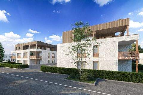 Hamm Wohnungen, Hamm Wohnung kaufen