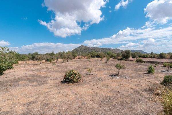 Teil des Grundstücks 