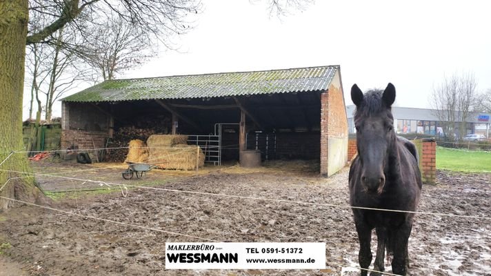 Remise / Offenstall