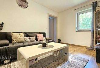 Wohnung - Wohnzimmer