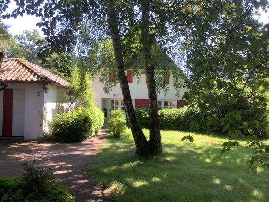 Blick zur Haustür Sommer