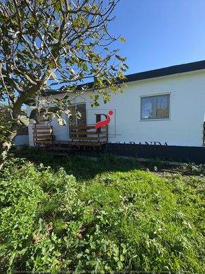 WhatsApp Image 2025-10-30 at 11.44.15.jpeg