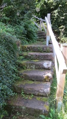 Treppe zum Haus ..JPG