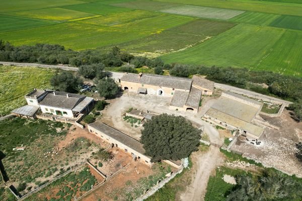 Finca kaufen auf Mallorca