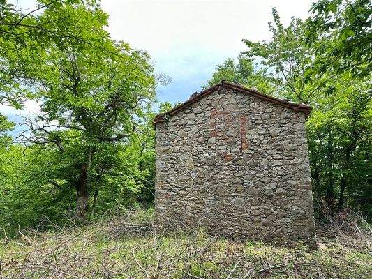 Haus mit Kastanienwald