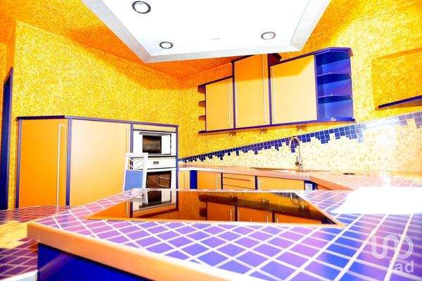 PHOTO-2024-09-11-16-13-42 (4)