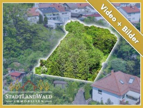 Lemberg Grundstücke, Lemberg Grundstück kaufen