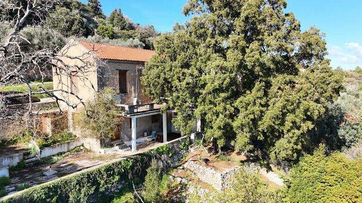 dji_fly_20250131_104148_0006_1738313131379_photo-C