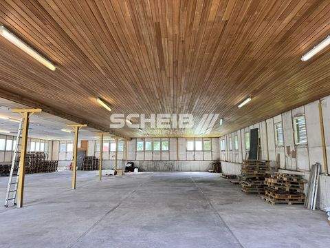 Kupferzell Halle, Kupferzell Hallenfläche