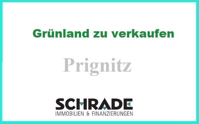 Grünland in der Prignitz