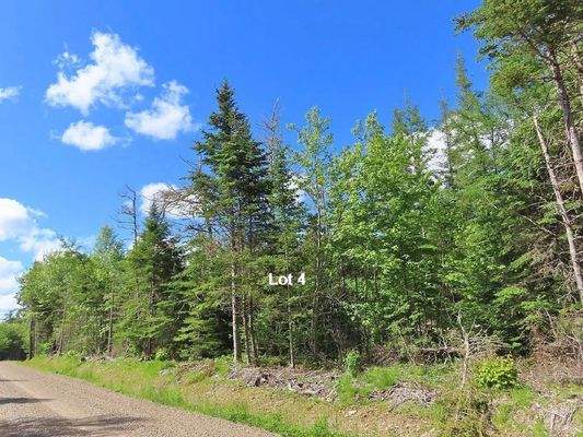 Nova Scotia - West Side Country Harbour - Preiswer