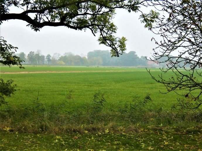 Tiny House Baugrundstück mit idyllischem Weitblick und für dauerhaftes Wohnen  - Warften Str.