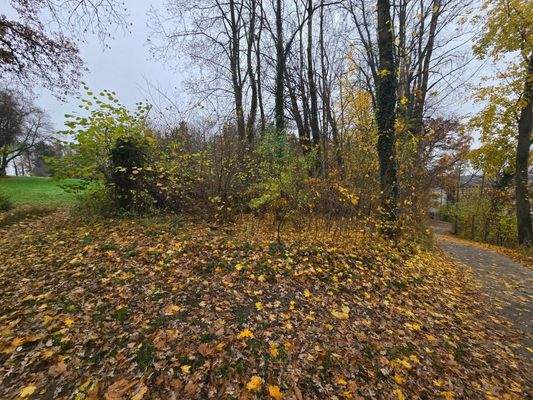 Zugang über Fußweg