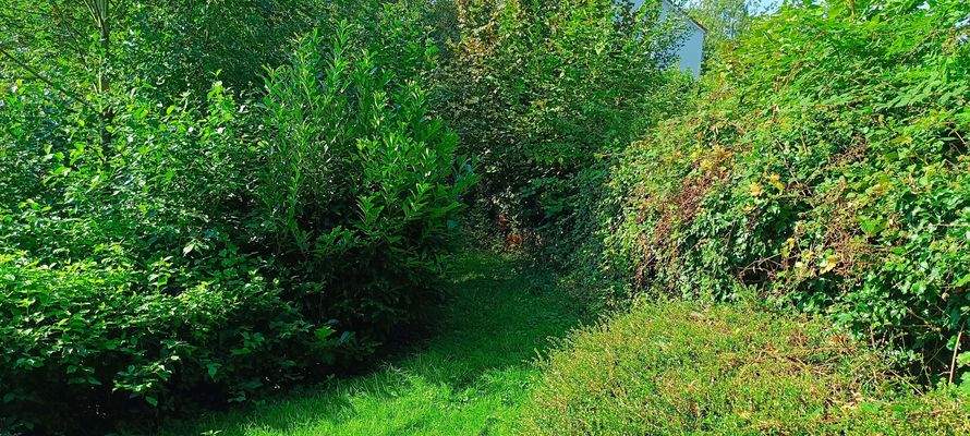 Baugrundstück Passauer Str. 22