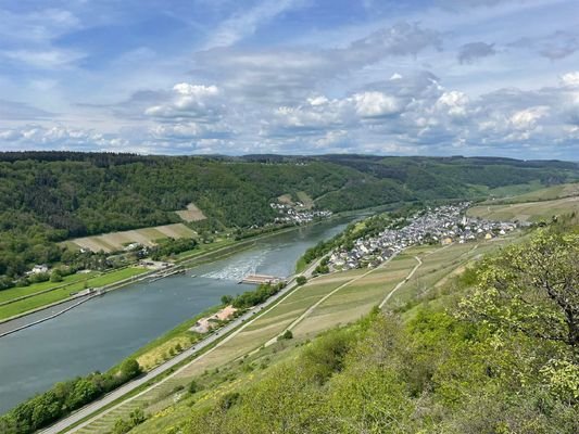 Blick auf Enkirch