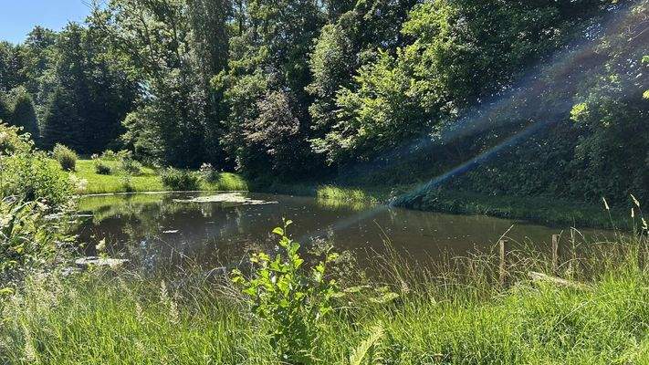 Idylle in dörflicher Umgebung