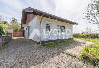 Haus