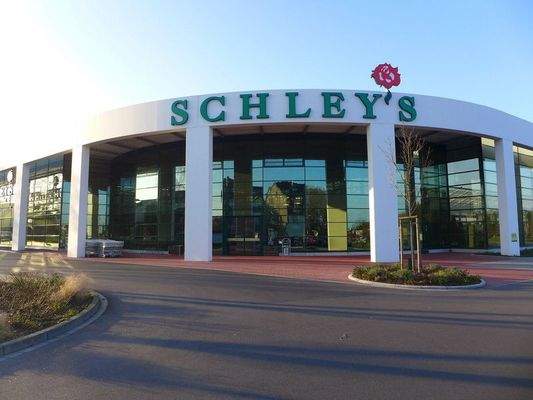 sonstige Geschäfte,