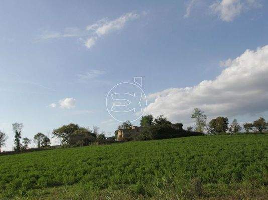 Großes Anwesen | Asciano