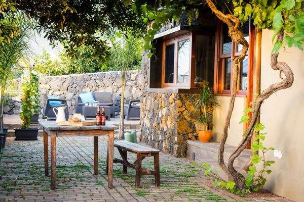 WhatsApp Image 2025-05-01 at 12.51.30.jpeg