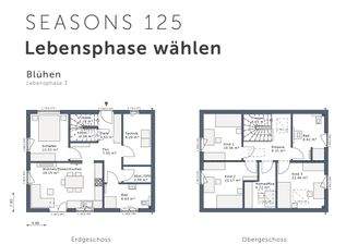 Phase Blühen
