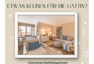 Noch nichts zum Fest (4).png