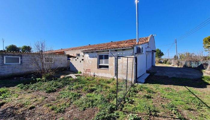 WhatsApp Image 2025-02-12 at 17.32.07 (5).jpeg