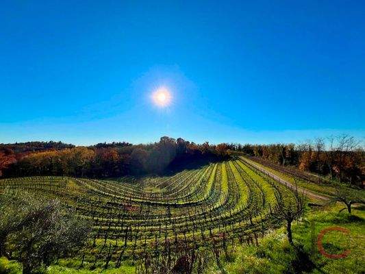 Liegenschaft Manzano (66)