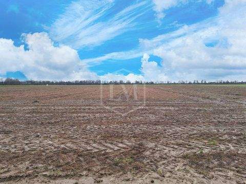 Korschenbroich Bauernhöfe, Landwirtschaft, Korschenbroich Forstwirtschaft