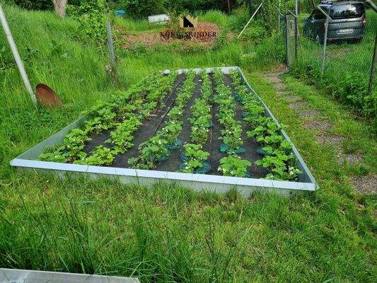 ...auf Ihren Gemüsegarten 
