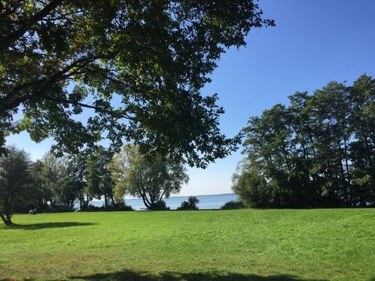 Wiese am See (4).JPG