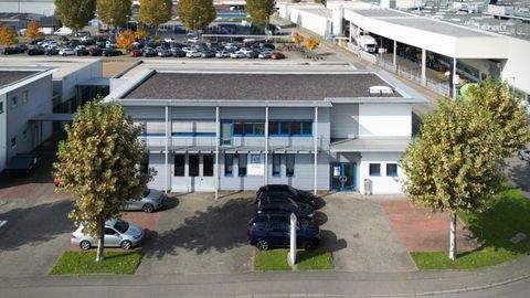 Lahr Halle, Lahr Hallenfläche