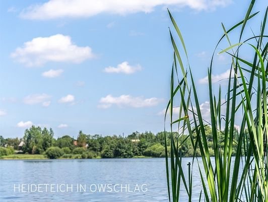 Heideteich_1